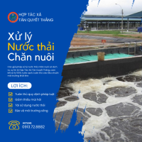 Xử lý nước thải chăn nuôi