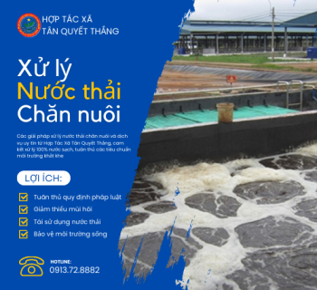 Xử lý nước thải chăn nuôi