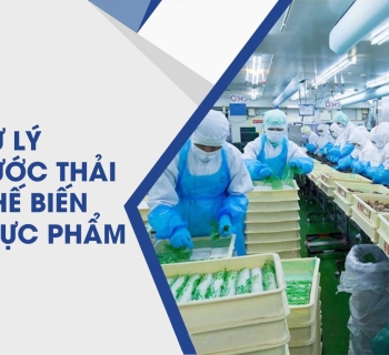 Xử Lý  Nước thải chế biến thực phẩm