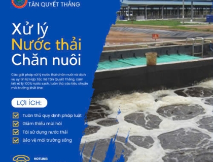 Xử Lý Nước Thải Tuần Hoàn Tái Sử Dụng Bằng Vi Sinh: Giải Pháp Bền Vững Cho Tương Lai