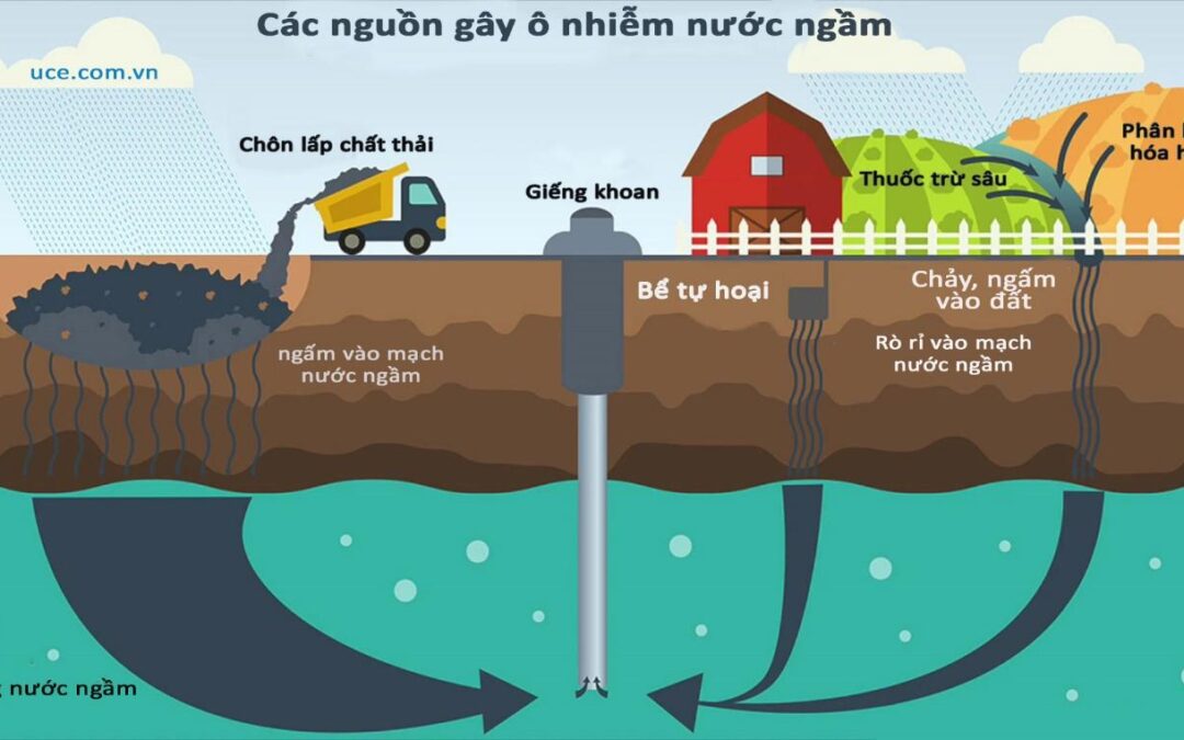 Hợp Tác Xã Tân Quyết Thắng 